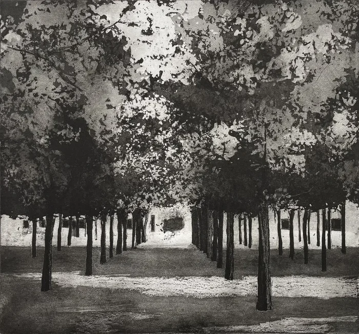 Jardin du Luxembourg (2018) Etchings & engravings by Lizzie Butler